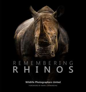 Remembering Rhinos de Margot Raggett