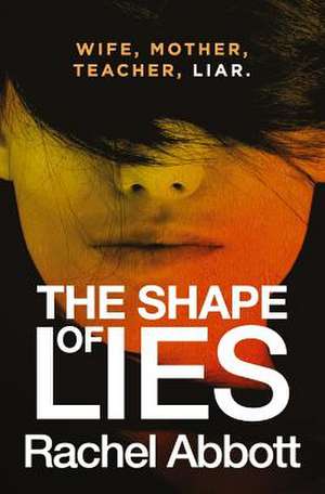 The Shape of Lies de Rachel Abbott