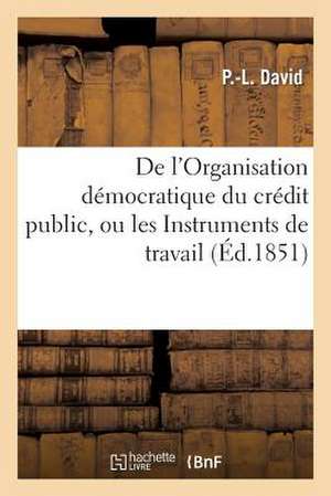 de L'Organisation Democratique Du Credit Public, Ou Les Instruments de Travail MIS a la Portee: Du Gouvernement Que L'Avenir Nous Reserve de David-P-L