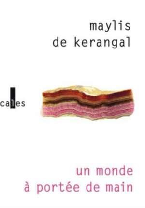 Un monde a portée de main de Maylis de Kerangal