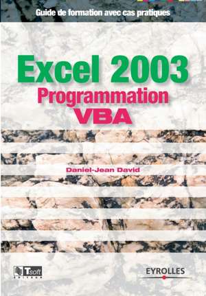 Excel 2003 Programmation VBA de Daniel-Jean David