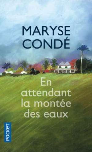 En attendant la montée des eaux de Maryse Condé