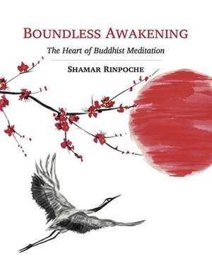 Boundless Awakening de Shamar Rinpoche