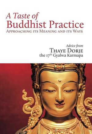 A Taste of Buddhist Practice: Approaching Its Meaning and Ways de His Holiness the 17th Karmapa Thaye Dorje