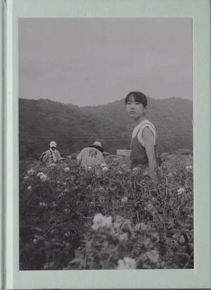 Flower(s) — Vol. 1 de Teresa Freitas