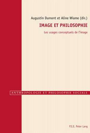 Image Et Philosophie: Les Usages Conceptuels de L'Image de Augustin Dumont