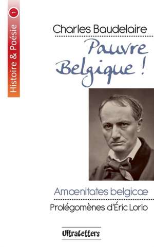 Pauvre Belgique ! de Charles Baudelaire