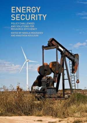 Energy Security: Policy Challenges and Solutions for Resource Efficiency de Nikolai Mouraviev