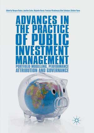 Advances in the Practice of Public Investment Management: Portfolio Modelling, Performance Attribution and Governance de Narayan Bulusu