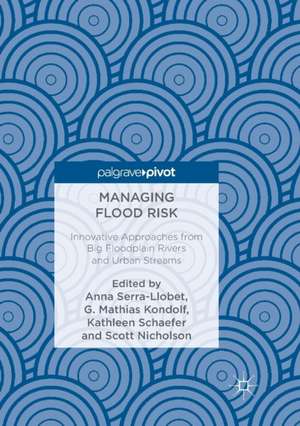Managing Flood Risk de Anna Serra-Llobet