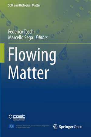 Flowing Matter de Federico Toschi