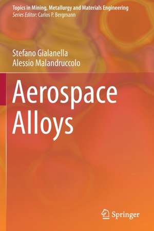 Aerospace Alloys de Stefano Gialanella