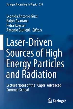 Laser-Driven Sources of High Energy Particles and Radiation: Lecture Notes of the "Capri" Advanced Summer School de Leonida Antonio Gizzi