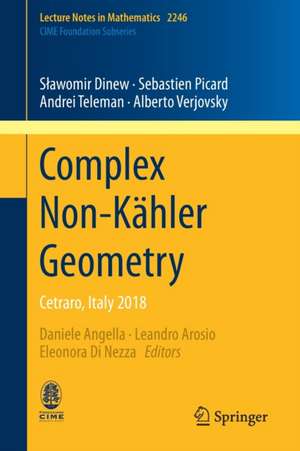 Complex Non-Kähler Geometry: Cetraro, Italy 2018 de Sławomir Dinew