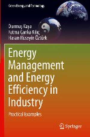 Energy Management and Energy Efficiency in Industry: Practical Examples de Durmuş Kaya