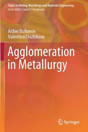 Agglomeration in Metallurgy de Aitber Bizhanov