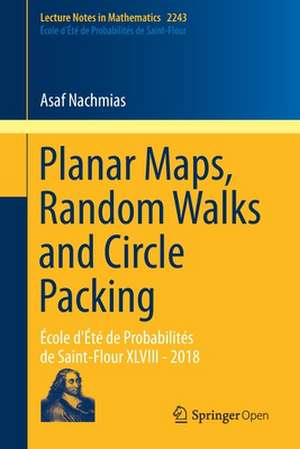 Planar Maps, Random Walks and Circle Packing: École d'Été de Probabilités de Saint-Flour XLVIII - 2018 de Asaf Nachmias