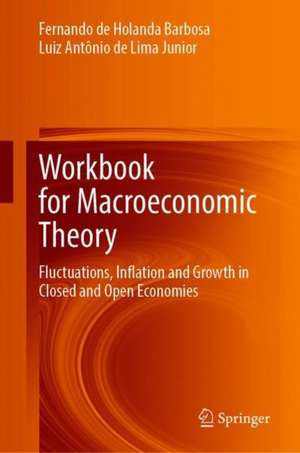 Workbook for Macroeconomic Theory: Fluctuations, Inflation and Growth in Closed and Open Economies de Fernando de Holanda Barbosa