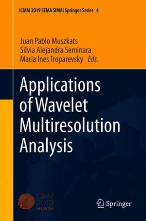 Applications of Wavelet Multiresolution Analysis de Juan Pablo Muszkats