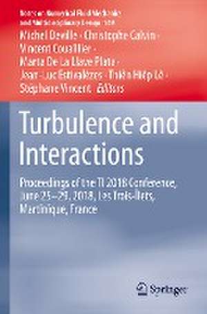 Turbulence and Interactions: Proceedings of the TI 2018 Conference, June 25-29, 2018, Les Trois-Îlets, Martinique, France de Michel Deville