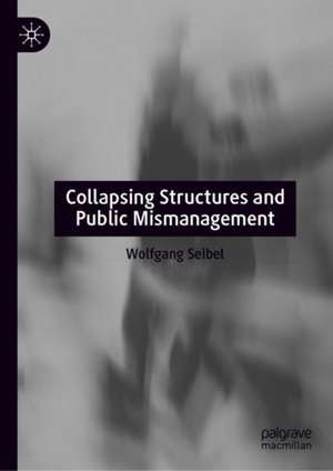 Collapsing Structures and Public Mismanagement de Wolfgang Seibel