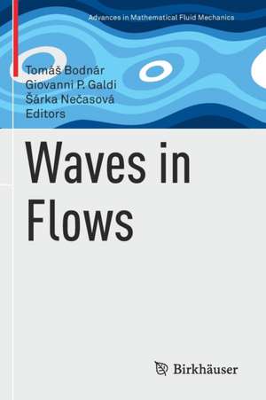 Waves in Flows de Tomáš Bodnár