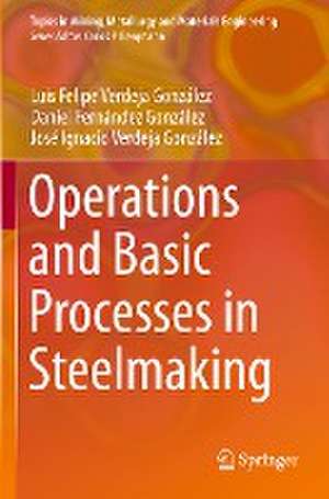 Operations and Basic Processes in Steelmaking de Luis Felipe Verdeja González