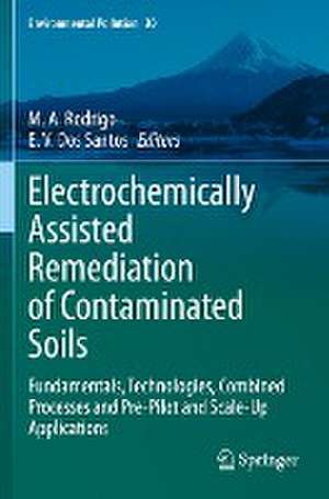 Electrochemically Assisted Remediation of Contaminated Soils: Fundamentals, Technologies, Combined Processes and Pre-Pilot and Scale-Up Applications de M. A. Rodrigo