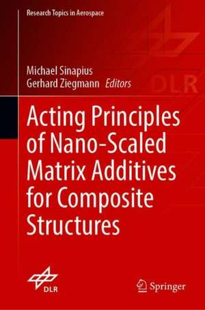 Acting Principles of Nano-Scaled Matrix Additives for Composite Structures de Michael Sinapius