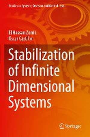 Stabilization of Infinite Dimensional Systems de El Hassan Zerrik