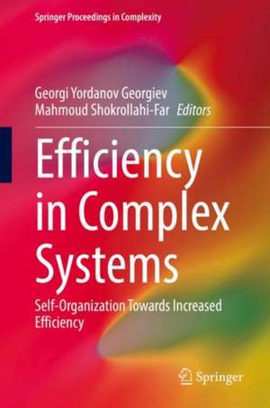 Efficiency in Complex Systems: Self-Organization Towards Increased Efficiency de Georgi Yordanov Georgiev