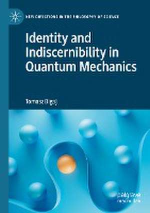 Identity and Indiscernibility in Quantum Mechanics de Tomasz Bigaj