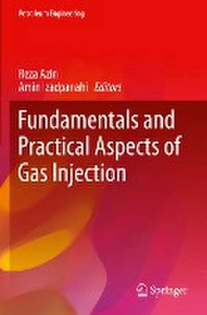 Fundamentals and Practical Aspects of Gas Injection de Reza Azin