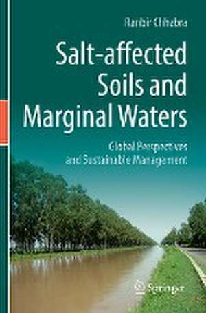 Salt-affected Soils and Marginal Waters: Global Perspectives and Sustainable Management de Ranbir Chhabra