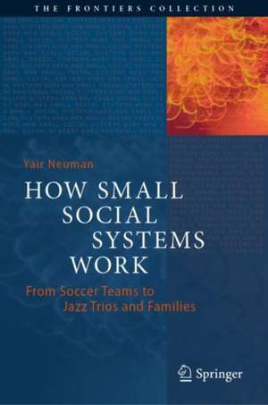 How Small Social Systems Work: From Soccer Teams to Jazz Trios and Families de Yair Neuman