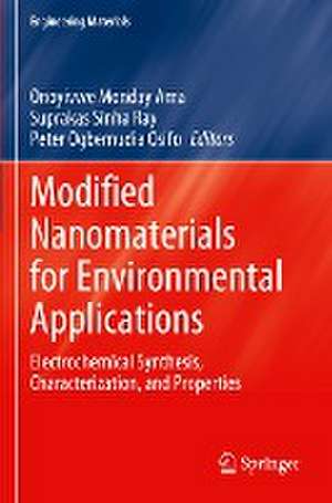 Modified Nanomaterials for Environmental Applications: Electrochemical Synthesis, Characterization, and Properties de Onoyivwe Monday Ama