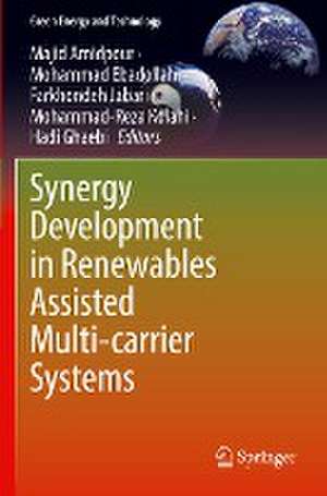 Synergy Development in Renewables Assisted Multi-carrier Systems de Majid Amidpour