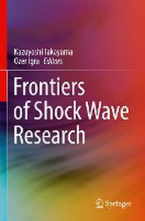 Frontiers of Shock Wave Research de Kazuyoshi Takayama