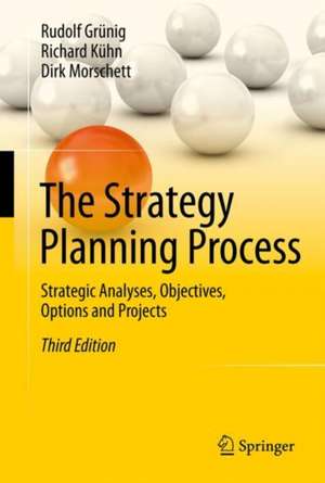 The Strategy Planning Process: Strategic Analyses, Objectives, Options and Projects de Rudolf Grünig