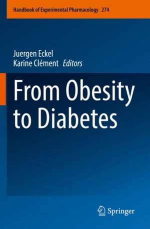 From Obesity to Diabetes de Juergen Eckel