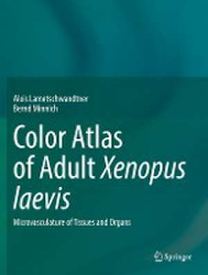 Color Atlas of Adult Xenopus laevis: Microvasculature of Tissues and Organs de Alois Lametschwandtner