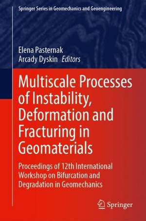 Multiscale Processes of Instability, Deformation and Fracturing in Geomaterials: Proceedings of 12th International Workshop on Bifurcation and Degradation in Geomechanics de Elena Pasternak