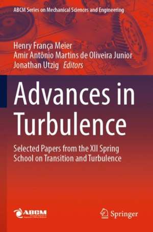 Advances in Turbulence: Selected Papers from the XII Spring School on Transition and Turbulence de Henry França Meier