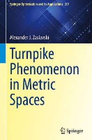 Turnpike Phenomenon in Metric Spaces de Alexander J. Zaslavski