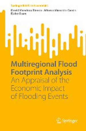 Multiregional Flood Footprint Analysis: An Appraisal of the Economic Impact of Flooding Events de David Mendoza-Tinoco