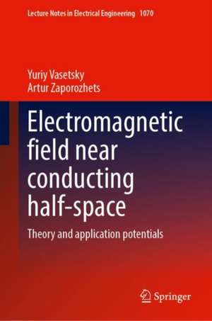 Electromagnetic Field Near Conducting Half-Space: Theory and Application Potentials de Yuriy Vasetsky