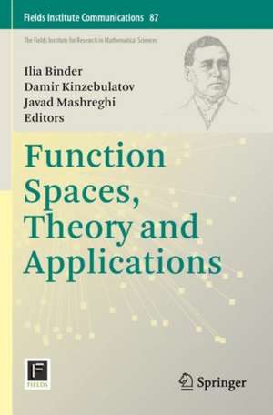 Function Spaces, Theory and Applications de Ilia Binder