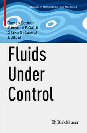 Fluids Under Control de Tomá¿ Bodnár