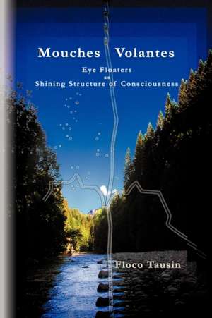 Mouches Volantes - Eye Floaters as Shining Structure of Consciousness de Floco Tausin