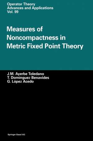 Measures of Noncompactness in Metric Fixed Point Theory de J.M. Ayerbe Toledano